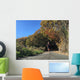 Man running on country road with autumn leaves Wall Mural