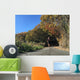 Man running on country road with autumn leaves Wall Mural
