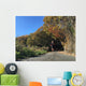 Man running on country road with autumn leaves Wall Mural