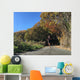 Man running on country road with autumn leaves Wall Mural