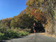 Man running on country road with autumn leaves Wall Mural
