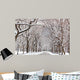 Central Park Walk Wall Mural