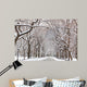 Central Park Walk Wall Mural
