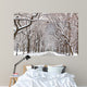 Central Park Walk Wall Mural