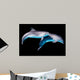 Dolphins Black Wall Decal
