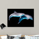 Dolphins Black Wall Decal