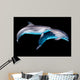 Dolphins Black Wall Decal