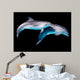 Dolphins Black Wall Decal
