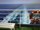 Crucero Wall Mural