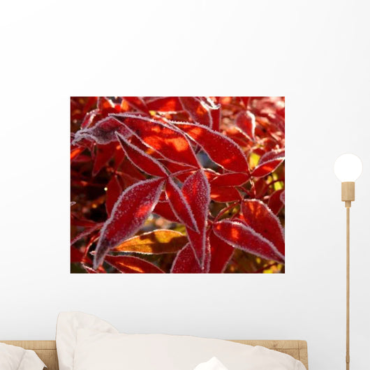 Heap Frozen Henry's Carnet Wall Decal