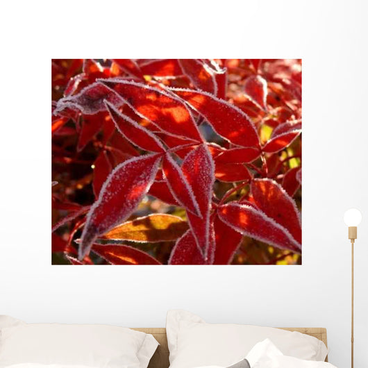 Heap Frozen Henry's Carnet Wall Decal