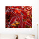 Heap Frozen Henry's Carnet Wall Decal