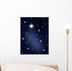 The stars and galagy. Astronomy background and cosmos Wall Mural