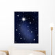 The stars and galagy. Astronomy background and cosmos Wall Mural