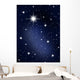 The stars and galagy. Astronomy background and cosmos Wall Mural