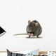 rat Wall Decal