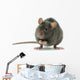 rat Wall Decal