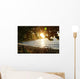 Hidden Sunset Wall Mural