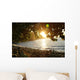 Hidden Sunset Wall Mural