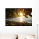Hidden Sunset Wall Mural