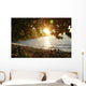 Hidden Sunset Wall Mural
