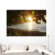 Hidden Sunset Wall Mural