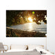 Hidden Sunset Wall Mural