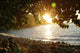 Hidden Sunset Wall Mural