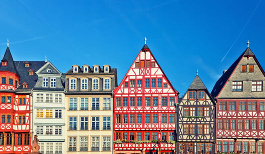 Old Traditional Buildings Frankfurt Wall Decal
