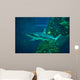 Grey Reef Shark Carcharhinus Wall Decal