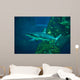Grey Reef Shark Carcharhinus Wall Decal