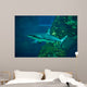 Grey Reef Shark Carcharhinus Wall Decal