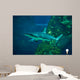 Grey Reef Shark Carcharhinus Wall Decal
