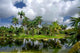 Fairchild Tropical Botanic Garden Wall Decal