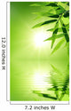 bamboo leaf with reflection in the water, Zen atmosphere. Wall Mural