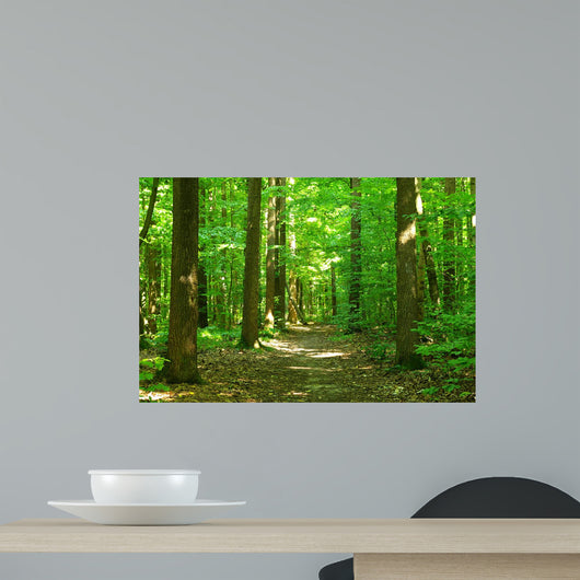 Forest Wall Mural