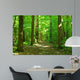 Forest Wall Mural