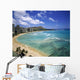 Waikiki Beach and Diamond Head Crater in Hawaii Wall Mural