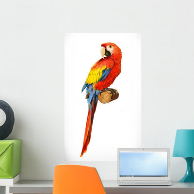 Ara Parrot Macaw Photo Wall Decal shown on a wall