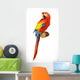 Ara Parrot Macaw Photo Wall Decal