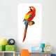 Ara Parrot Macaw Photo Wall Decal