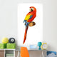 Ara Parrot Macaw Photo Wall Decal