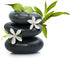 Spa Still Life With White Flowers Wall Decal