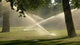 Coolants Park Wall Decal