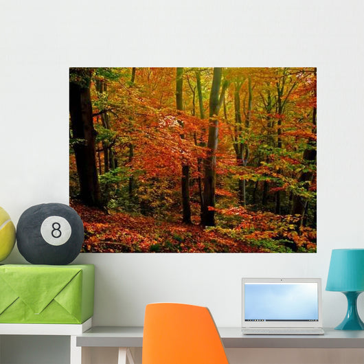 Autumnal Wall Decal