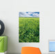 Spring Clover Field Wall Decal