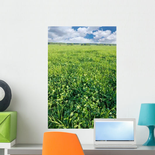 Spring Clover Field Wall Decal