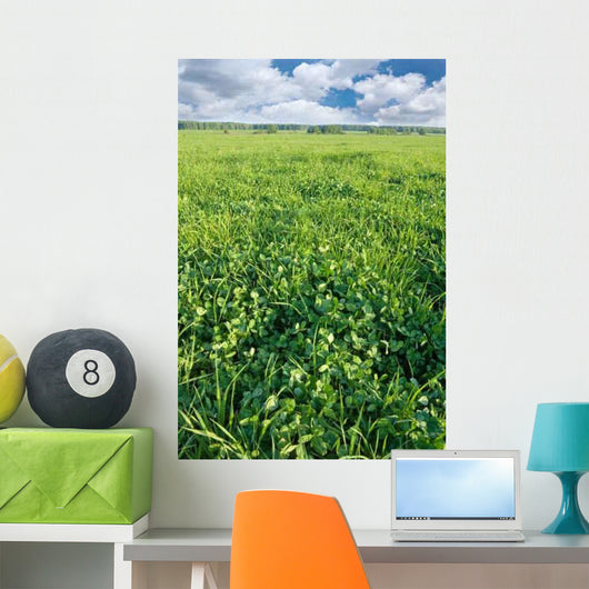 Spring Clover Field Wall Decal