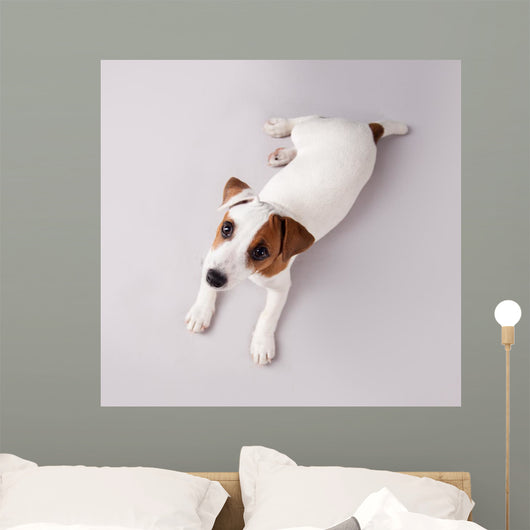 Puppy Wall Decal Design 1