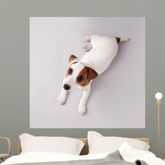 Puppy Wall Decal Design 1